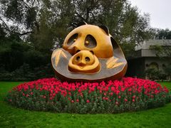 -成都大熊猫繁育研究基地-熊猫厨房