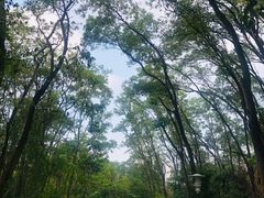 -深圳国际园林花卉博览园