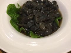 -海中洲渔社