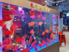 -朱光玉火锅馆(正弘城店)