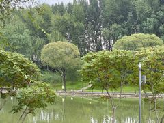 -延庆地质公园博物馆