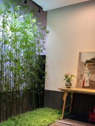 -凤绫儿亲子儿童摄影馆(天津店)