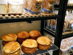 -卡吉诺动物奶油生日蛋糕(蓝堡湾店)