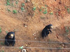 -云南野生动物园