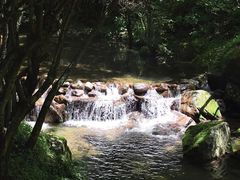 -牛背梁国家森林公园