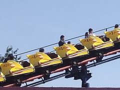 -石家庄市动物园