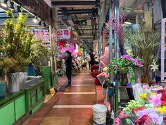 -朝来春花卉市场