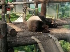 -大连森林动物园