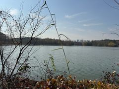 -昆山城市生态森林公园