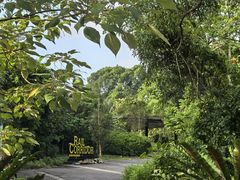 -武吉知马自然保护区