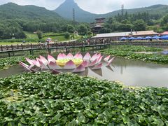 -帽儿山风景区