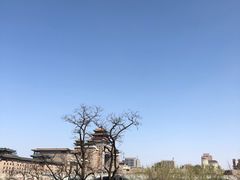 -莲花池公园