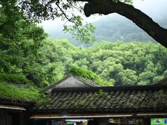 -普陀山风景名胜区-法雨禅寺