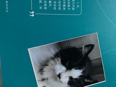 -美联众合动物医院·24h转诊中心