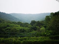 -无锡动物园·太湖欢乐园