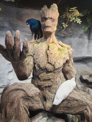 -Zoolung Zoolung动物主题公园(海信广场店)