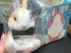-秋叶原电器街