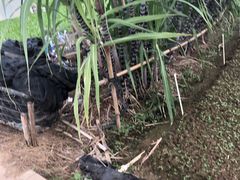 -青瓦房古村落