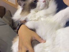 -白兔子密室(长寿路店)