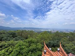 -水濂山森林公园