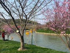 -苏州上方山国家森林公园
