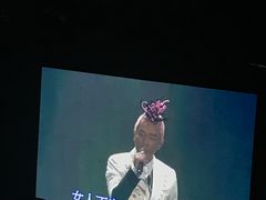 -南京奥林匹克体育中心-体育馆