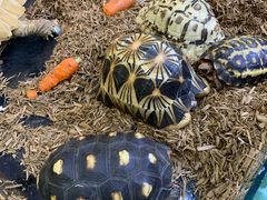 -上海海洋水族馆