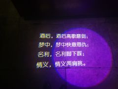 -村理·乡村菜音乐餐厅(河西店)