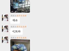 -半岛宠物医院24小时(科华中路店)