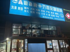 -A猫a狗全科·犬猫异宠·芥西宠物医院(南开总院)