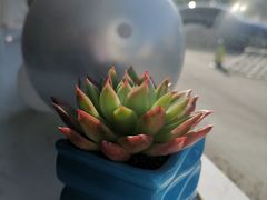 -上海先进东风标致雪铁龙4S店(青浦店)