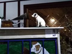 景点-旅顺留声机博物馆