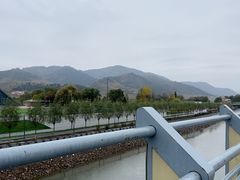 -江心岛