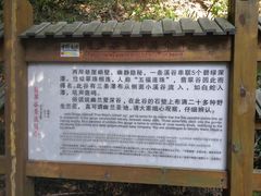 -永泰中国云顶