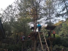 -梦幻奥陶纪景区