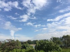 -深圳湾公园-停车场