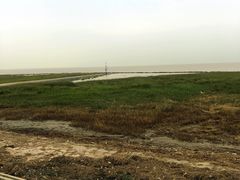 -南汇嘴观海公园