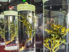 -广东中医药博物馆