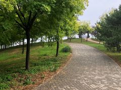 -东郊湿地公园