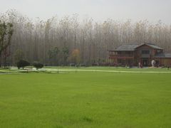 -合肥滨湖国家森林公园