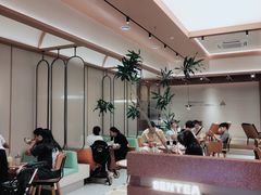 -森茶(湛江万达店)