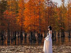 -白鹭湾湿地公园