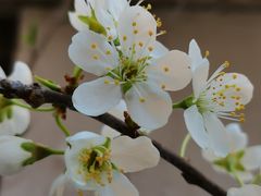 -天津东丽湖风景区
