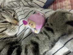 -名创优品(北京NTP新城广场店)