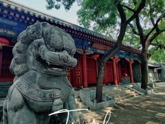 -北京第二实验小学