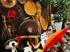 -田园印象·成都土菜院子(华阳店)