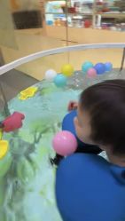 -鳄鱼泡泡游泳馆(新DNA购物中心店)