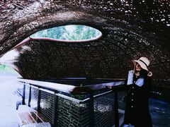 -东寨港红树林旅游区