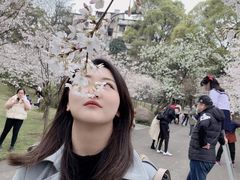 -南山植物园