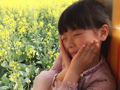 -迪茵湖田家舍生态农场